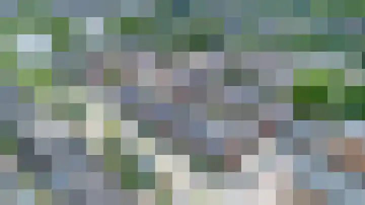 Tonselsedreef 106 Harderwijk thumbnail 43