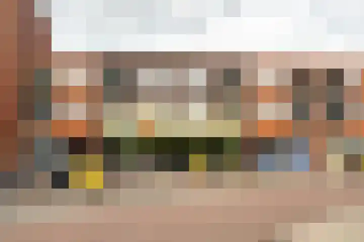 Tonselsedreef 106 Harderwijk thumbnail 45