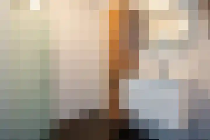 Tonselsedreef 106 Harderwijk thumbnail 5