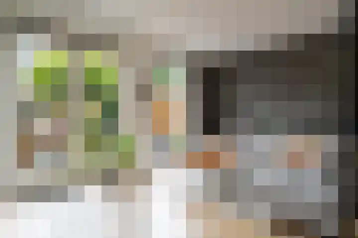 Tonselsedreef 106 Harderwijk thumbnail 8