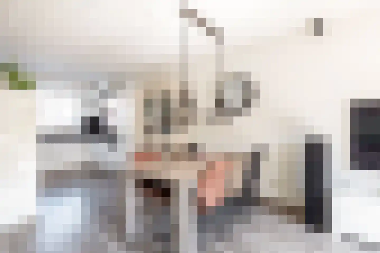 Tonselsedreef 110 Harderwijk thumbnail 12