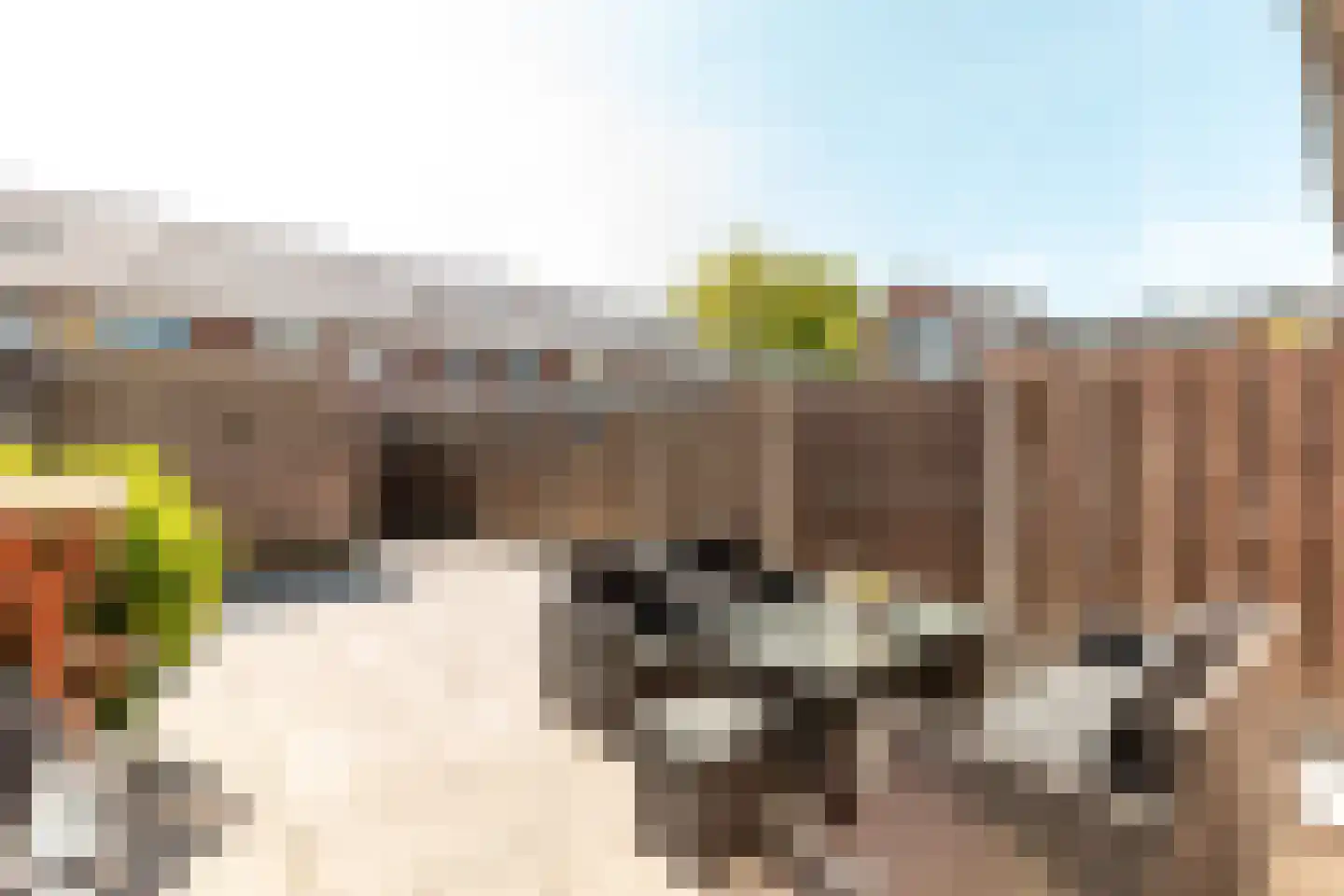 Tonselsedreef 110 Harderwijk thumbnail 30