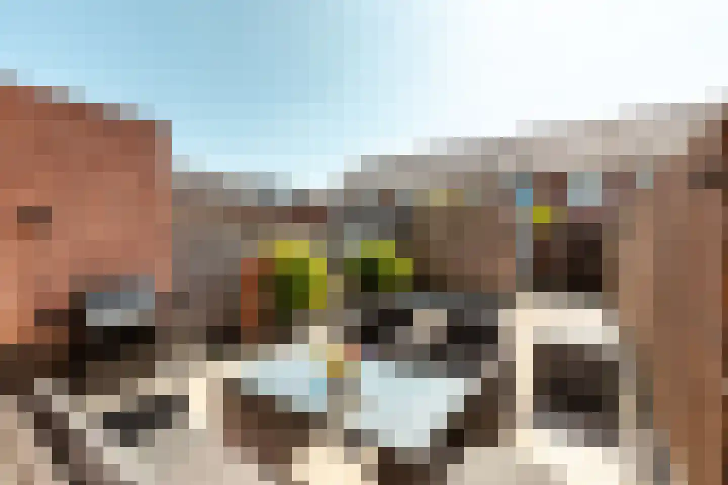 Tonselsedreef 110 Harderwijk thumbnail 31