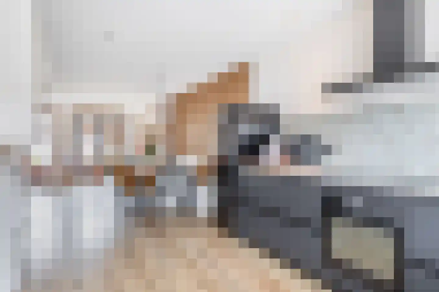 Tonselsedreef 112 Harderwijk thumbnail 10