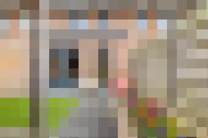 Tonselsedreef 112 Harderwijk thumbnail 25