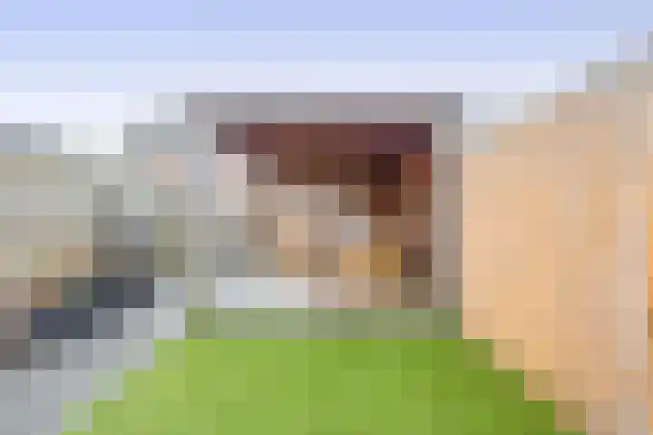 Tonselsedreef 112 Harderwijk thumbnail 27