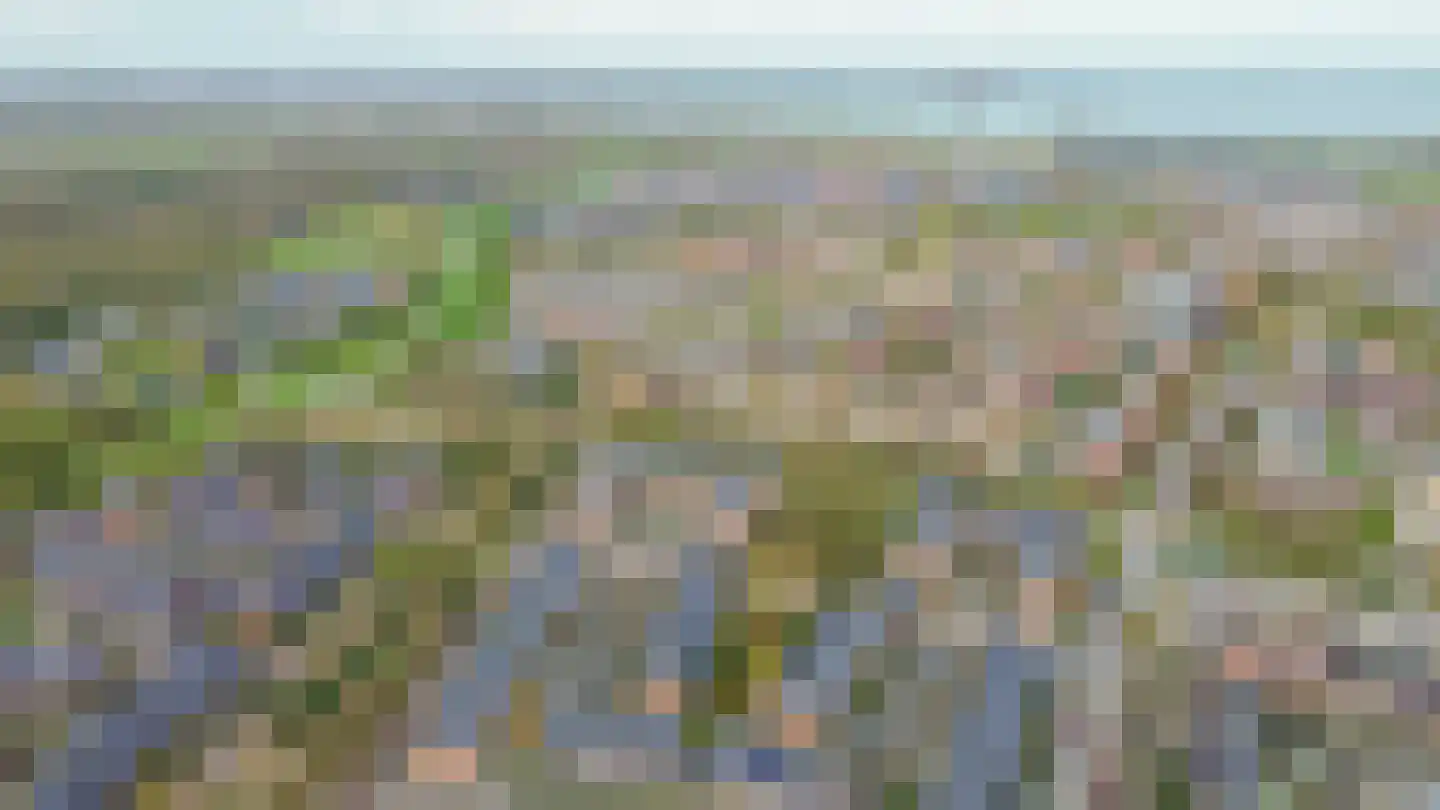 Tonselsedreef 112 Harderwijk thumbnail 32