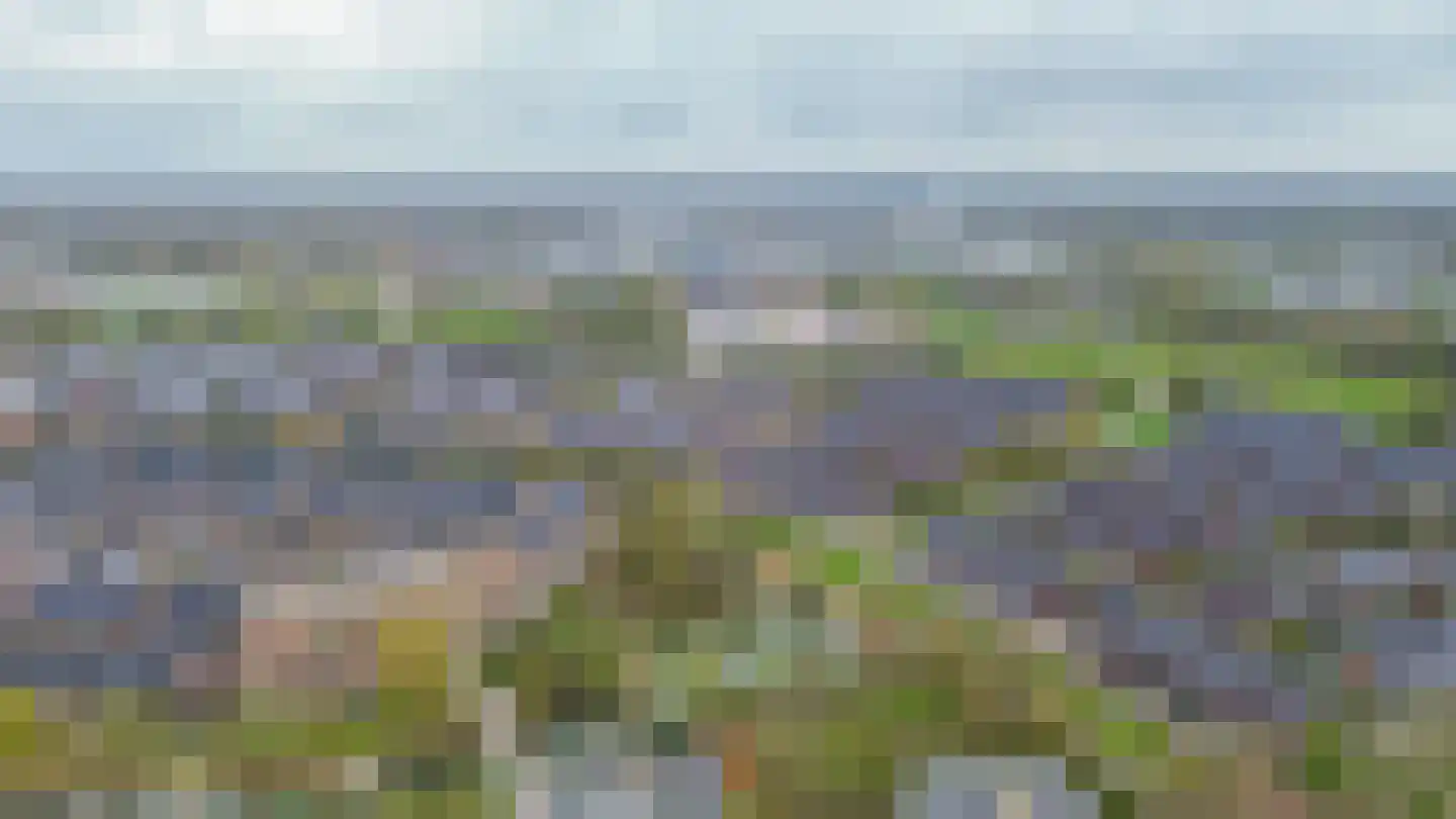 Tonselsedreef 112 Harderwijk thumbnail 34