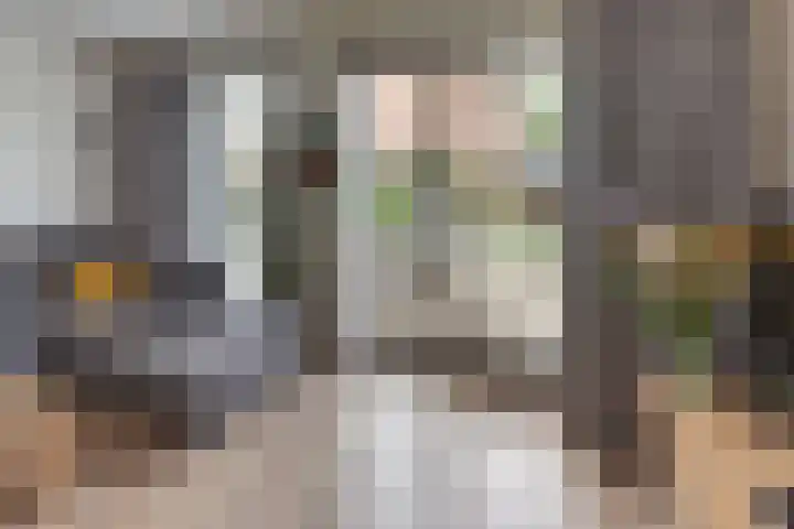 Tonselsedreef 120 Harderwijk thumbnail 10