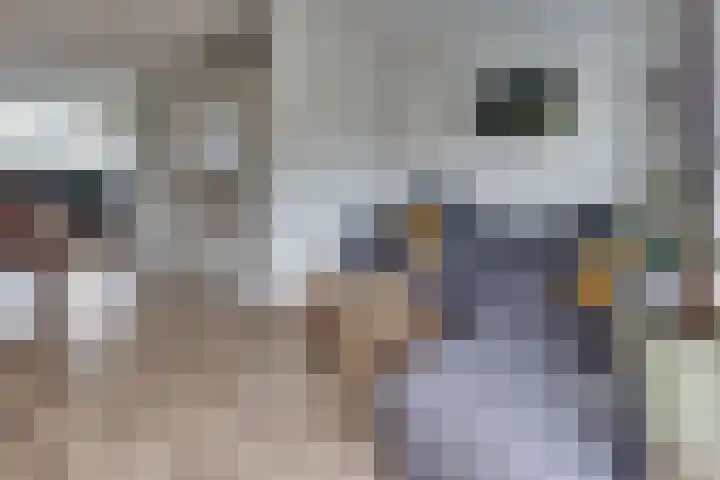 Tonselsedreef 120 Harderwijk thumbnail 12