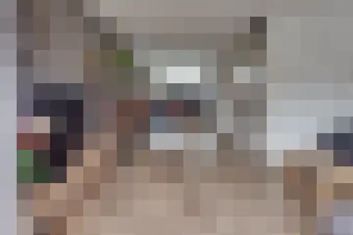 Tonselsedreef 120 Harderwijk thumbnail 13