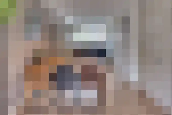 Tonselsedreef 120 Harderwijk thumbnail 16