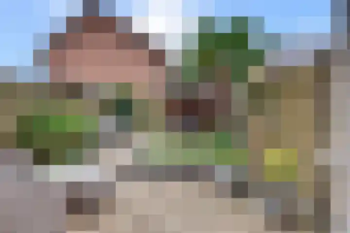 Tonselsedreef 120 Harderwijk thumbnail 36