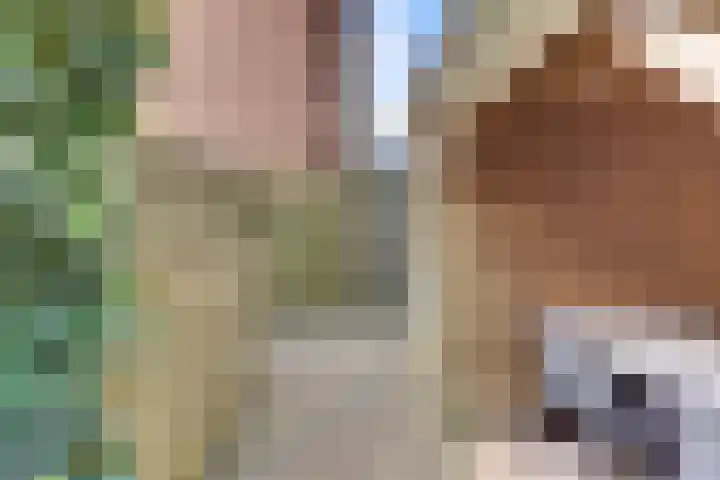 Tonselsedreef 120 Harderwijk thumbnail 39