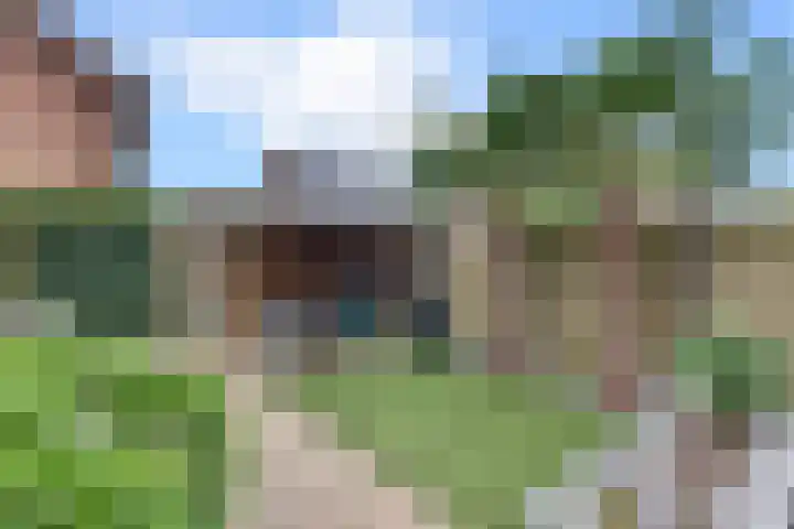 Tonselsedreef 120 Harderwijk thumbnail 4