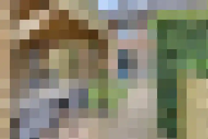 Tonselsedreef 120 Harderwijk thumbnail 40
