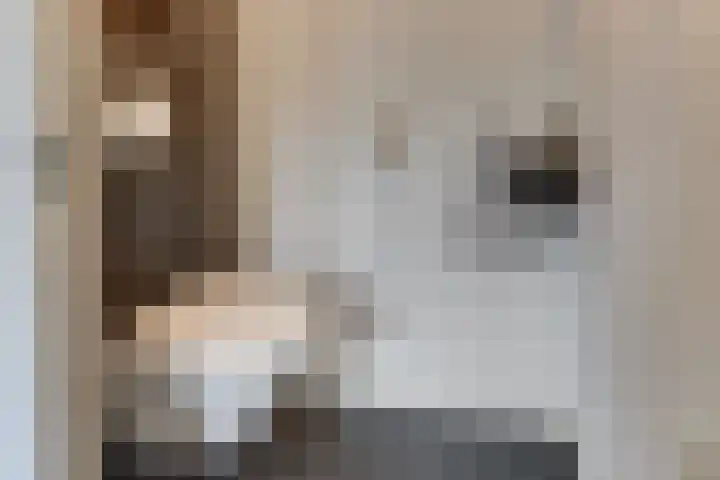 Tonselsedreef 120 Harderwijk thumbnail 7
