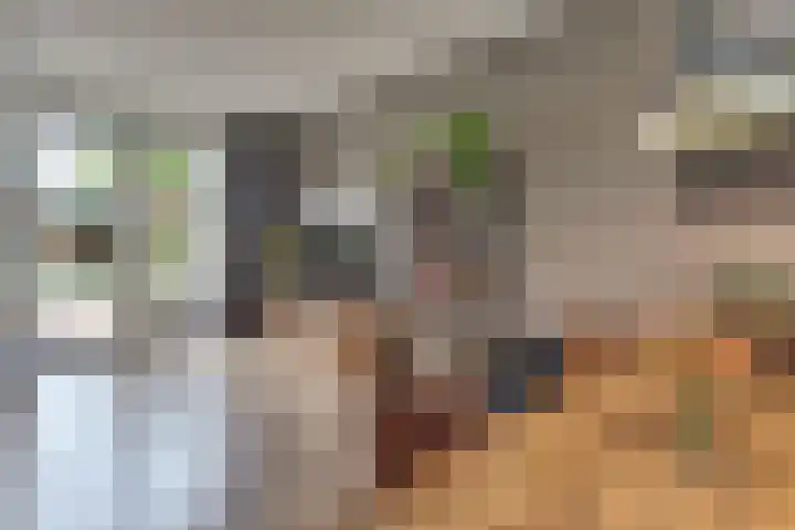Tonselsedreef 120 Harderwijk thumbnail 9
