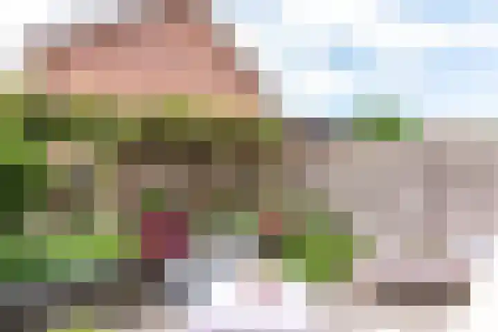 Tonselsedreef 124 Harderwijk thumbnail 26