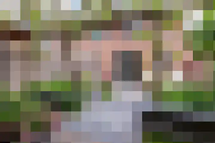 Tonselsedreef 124 Harderwijk thumbnail 27