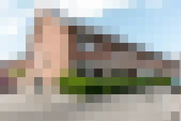 Tonselsedreef 124 Harderwijk thumbnail 30