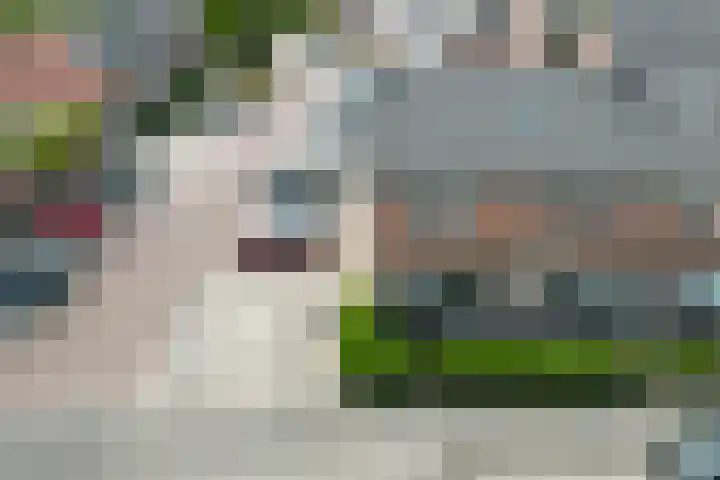 Tonselsedreef 124 Harderwijk thumbnail 37