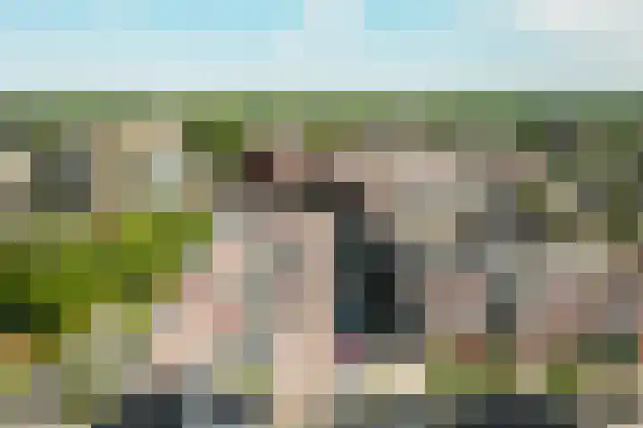 Tonselsedreef 124 Harderwijk thumbnail 38