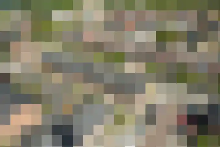 Tonselsedreef 124 Harderwijk thumbnail 39
