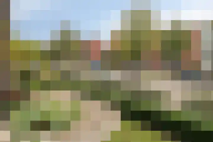 Tonselsedreef 127 Harderwijk thumbnail 18