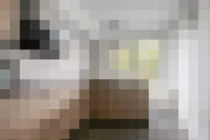 Tonselsedreef 127 Harderwijk thumbnail 19