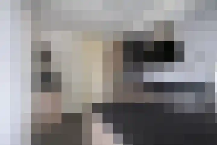 Tonselsedreef 127 Harderwijk thumbnail 20