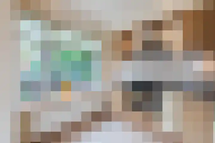 Tonselsedreef 2 Harderwijk thumbnail 13