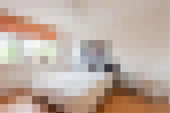 Tonselsedreef 2 Harderwijk thumbnail 19