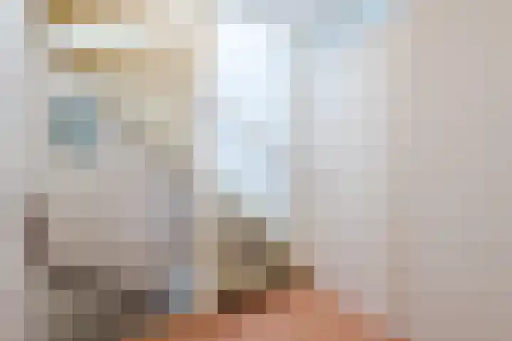 Tonselsedreef 2 Harderwijk thumbnail 28