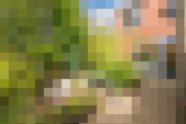 Tonselsedreef 2 Harderwijk thumbnail 32