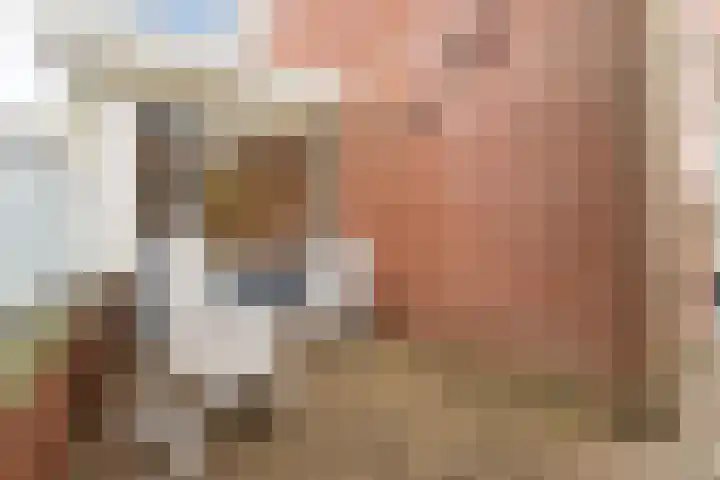 Tonselsedreef 2 Harderwijk thumbnail 35