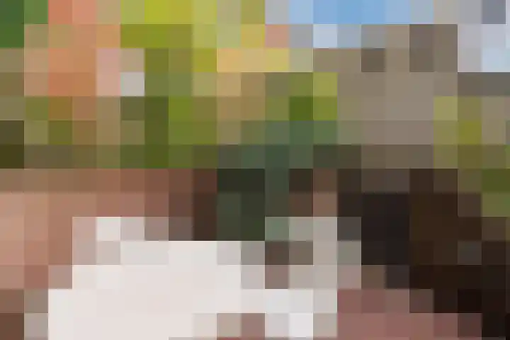 Tonselsedreef 2 Harderwijk thumbnail 36