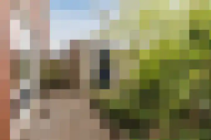 Tonselsedreef 2 Harderwijk thumbnail 37