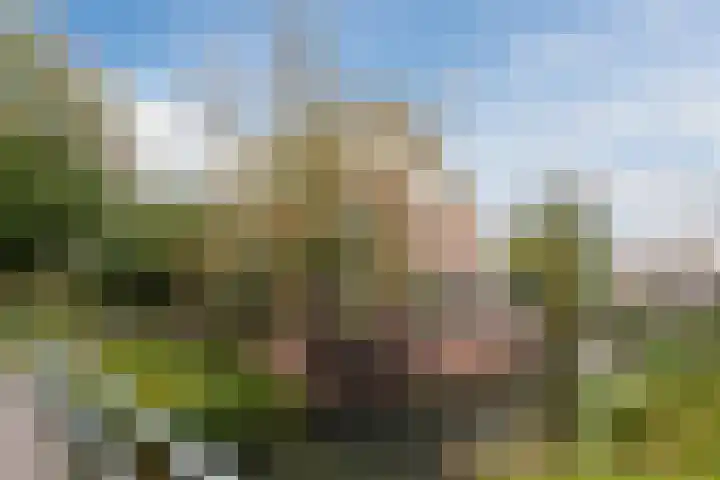Tonselsedreef 2 Harderwijk thumbnail 39