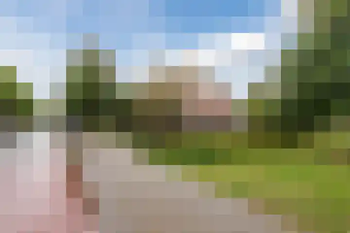 Tonselsedreef 2 Harderwijk thumbnail 42