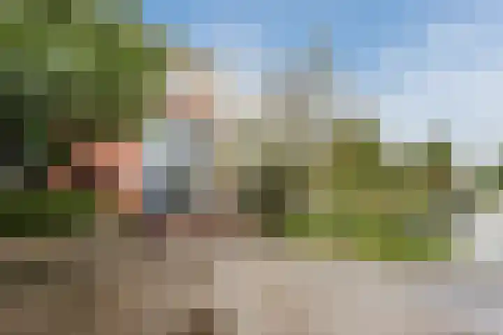 Tonselsedreef 2 Harderwijk thumbnail 43