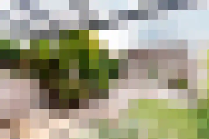 Tonselsedreef 265 Harderwijk thumbnail 30
