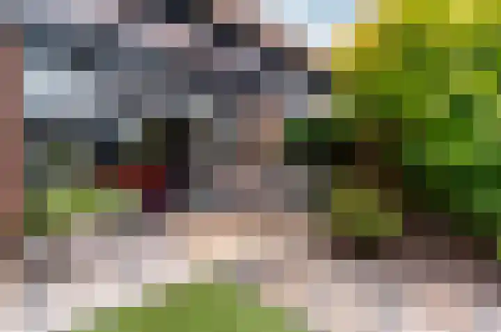 Tonselsedreef 265 Harderwijk thumbnail 32
