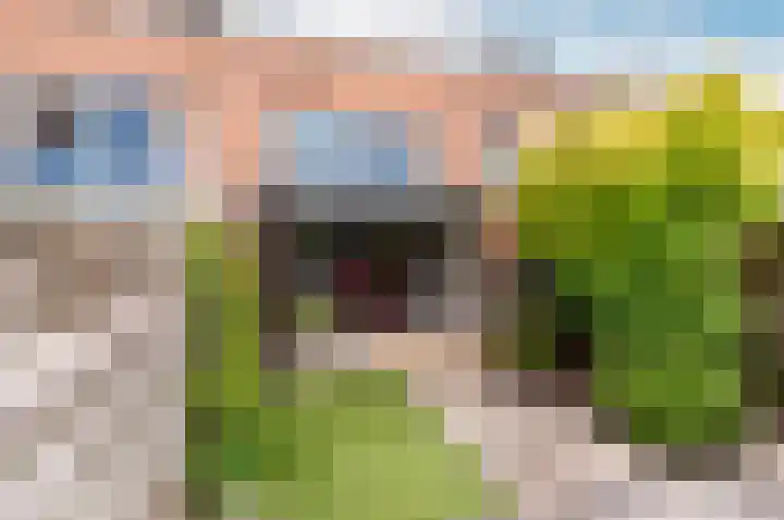 Tonselsedreef 265 Harderwijk thumbnail 33