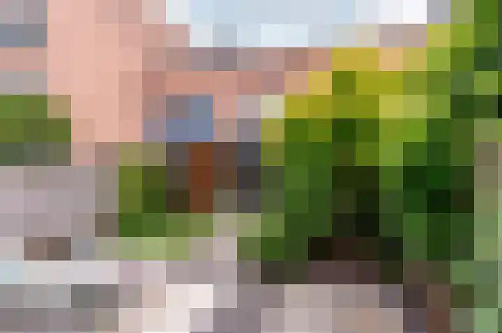 Tonselsedreef 265 Harderwijk thumbnail 34