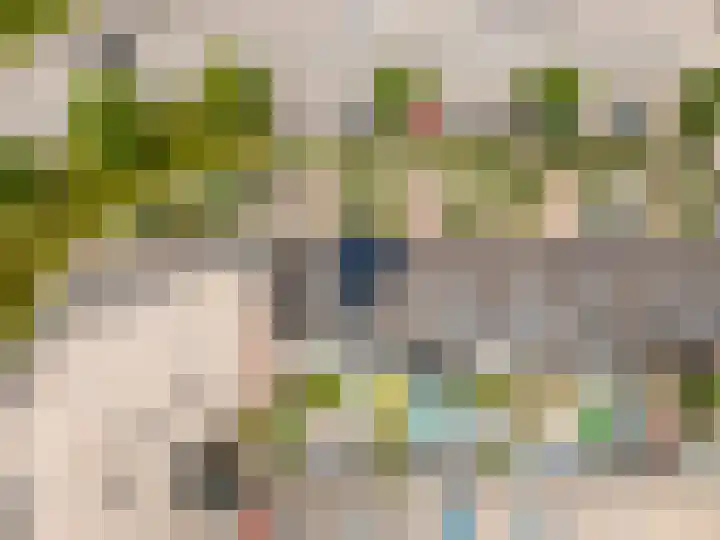 Tonselsedreef 265 Harderwijk thumbnail 35