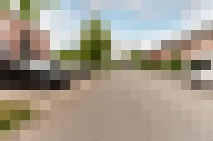 Tonselsedreef 265 Harderwijk thumbnail 39