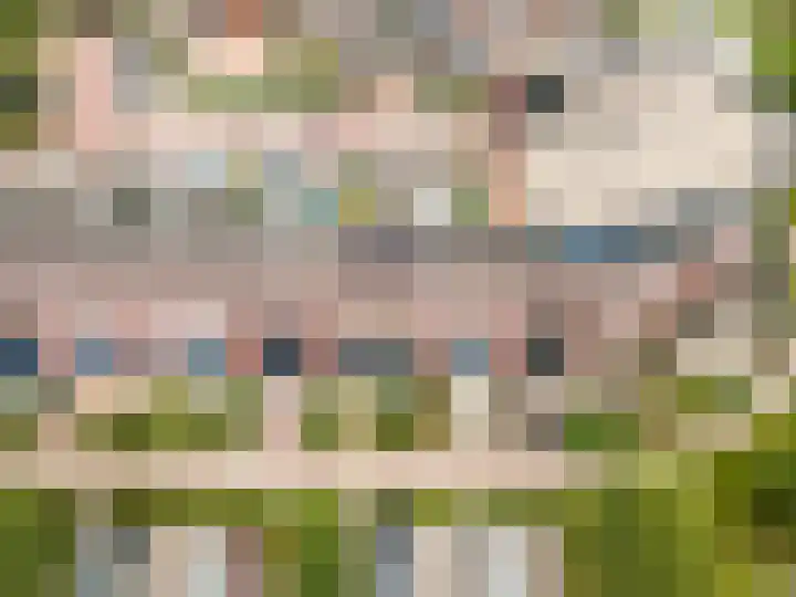 Tonselsedreef 265 Harderwijk thumbnail 40