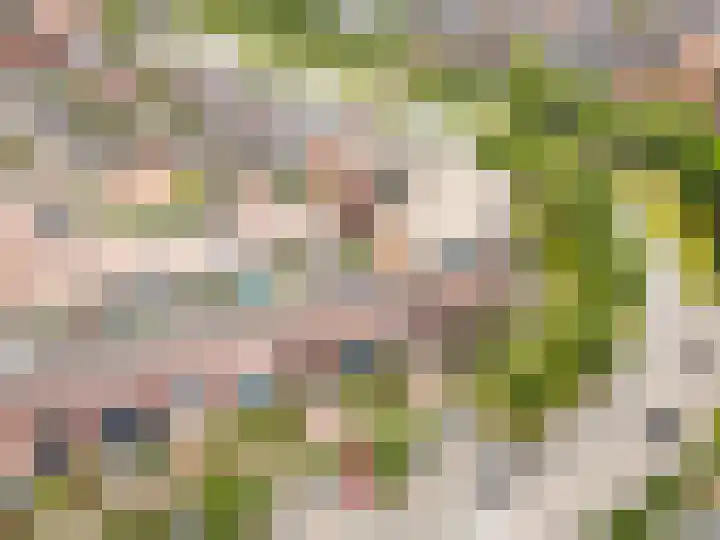 Tonselsedreef 265 Harderwijk thumbnail 41