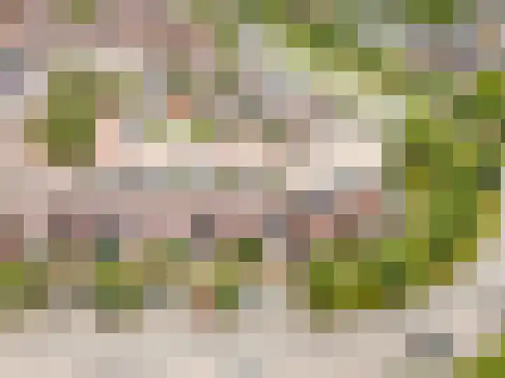 Tonselsedreef 265 Harderwijk thumbnail 42